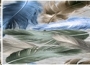 Коврик Dekorelle Velvet silk V130-1, разм. 40x60см УТ-00007870