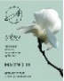 Саше Spring "Magnolia", Aroma Harmony (24шт) УТ-00016129