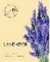 Саше Spring "Lavender", Aroma Harmony (24шт) УТ-00016131