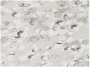 УТ-00016330
